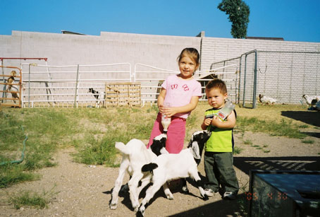Amina and Adam bottle feeding baby goats